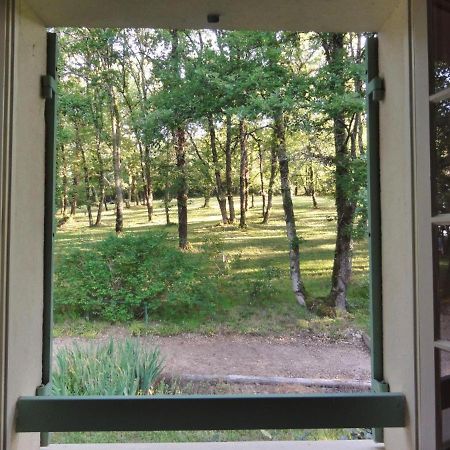Bed and Breakfast Les Feuillantines Perigord Noir Saint-Cyprien  Esterno foto