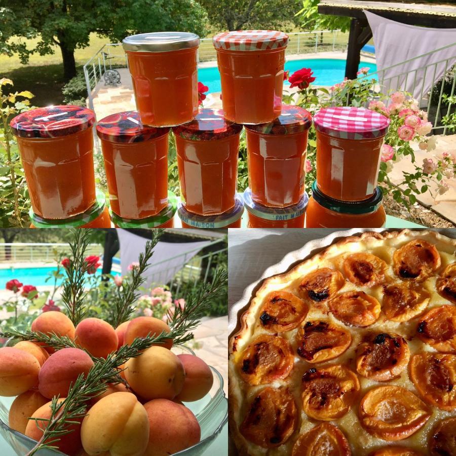 Bed and Breakfast Les Feuillantines Perigord Noir Saint-Cyprien  Esterno foto