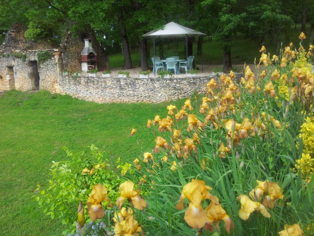 Bed and Breakfast Les Feuillantines Perigord Noir Saint-Cyprien  Esterno foto