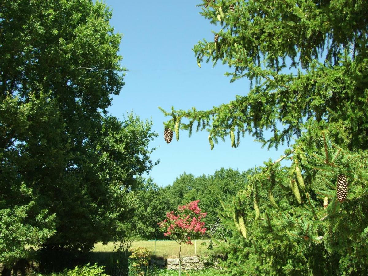 Bed and Breakfast Les Feuillantines Perigord Noir Saint-Cyprien  Esterno foto