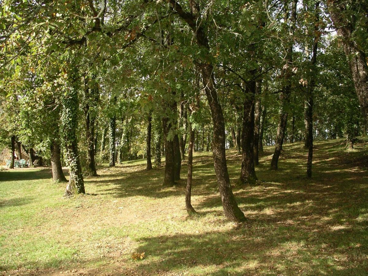 Bed and Breakfast Les Feuillantines Perigord Noir Saint-Cyprien  Esterno foto